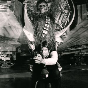 Meet your Posher, Mackenzie